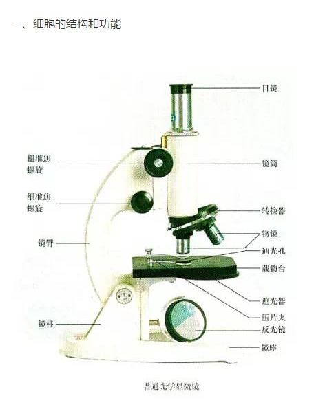 高中生物學(xué)基礎(chǔ)圖像考點與生物基材料技術(shù)研發(fā)