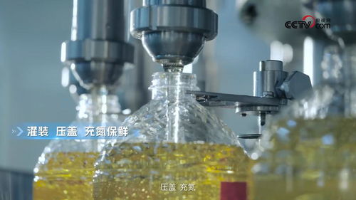 央視網(wǎng)走進多力安心工廠 探尋降低油煙技術(shù)專利與生物基材料研發(fā)的奧秘