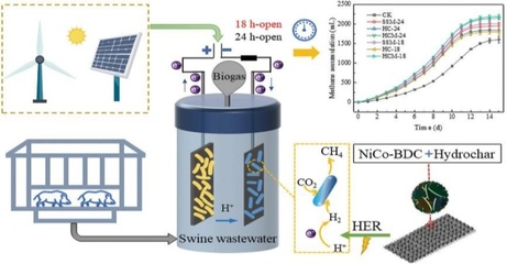 基于碳循環利用視角的畜禽糞污資源化創新探索——生物基材料技術研發取得階段性進展