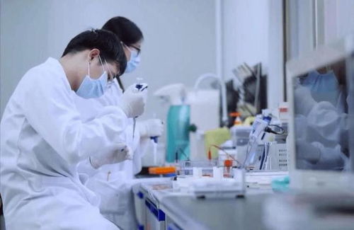 從土壤到實驗室 中國引領化學合成糧食量產新紀元